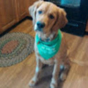 Meet your Posher, Russ